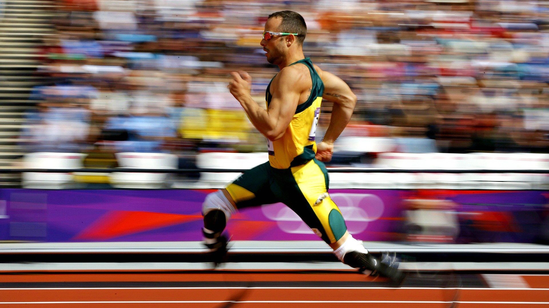 九游娱乐APP-体育新闻中心构建体育纪录片IP孵化支持系统，体育纪录片主题