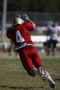 九游官方正版游戏中心-中超球队年度替补球员战术执行效率统计，中超替补年薪