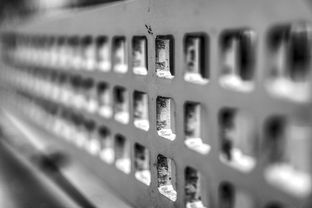 九游游戏在线玩-青少年运动损伤预防技术及实践研究，青少年运动损伤预防技术及实践研究论文