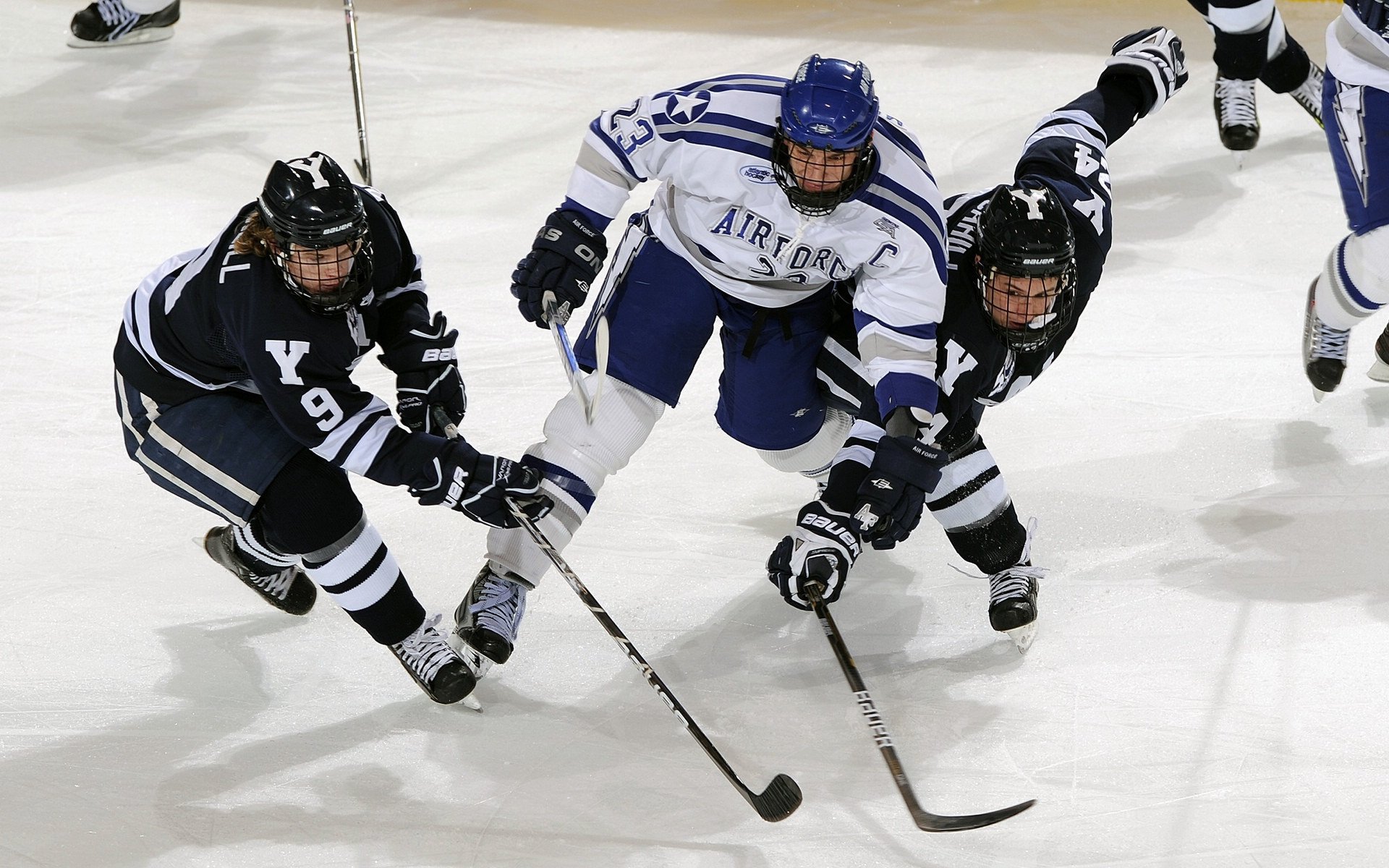 体育新闻中心协办体育赛事数据安全与隐私保护论坛，体育数据新闻案例