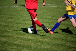 九游体育官网-国家队与俱乐部之间协调机制为何不顺畅，国家队比赛和俱乐部比赛冲突